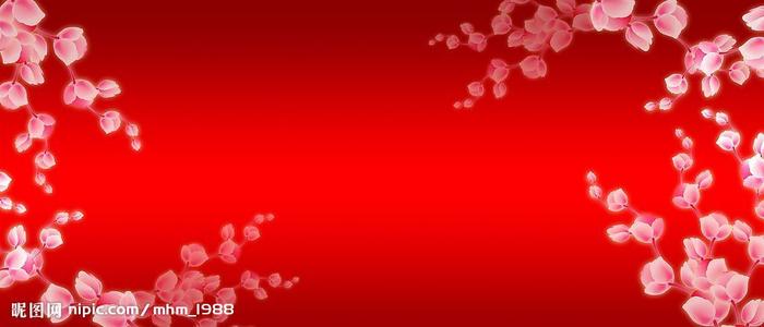 阿拉斯加州  怎么买假的